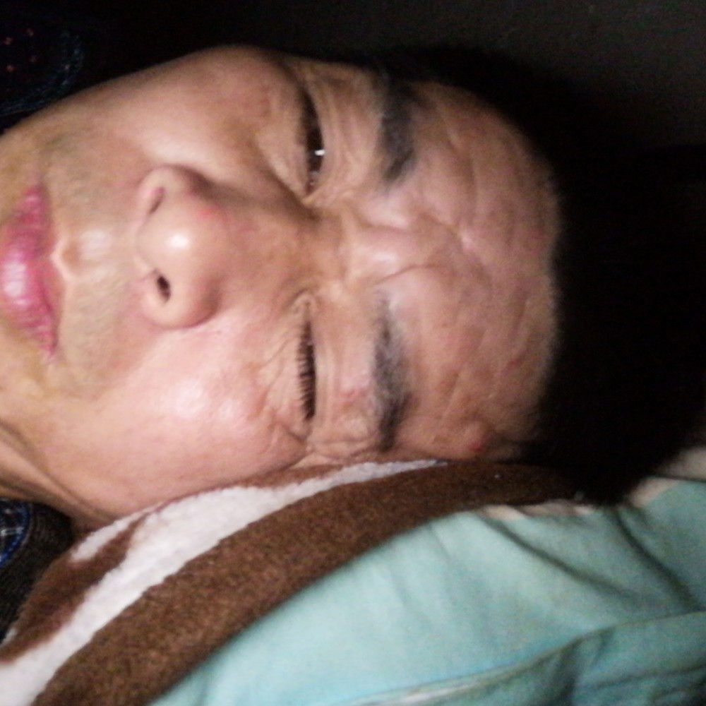 春天闻明理的照片