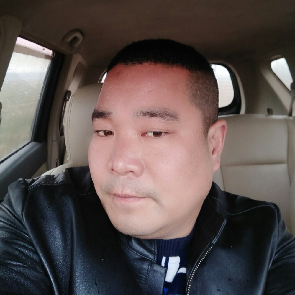 黯然树叶的照片