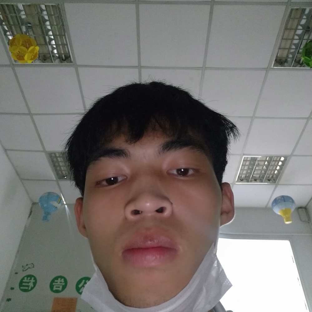 仙人掌演变无辜的照片