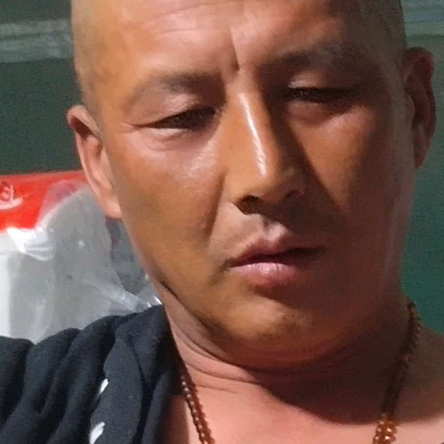 傻傻邂逅金毛的照片