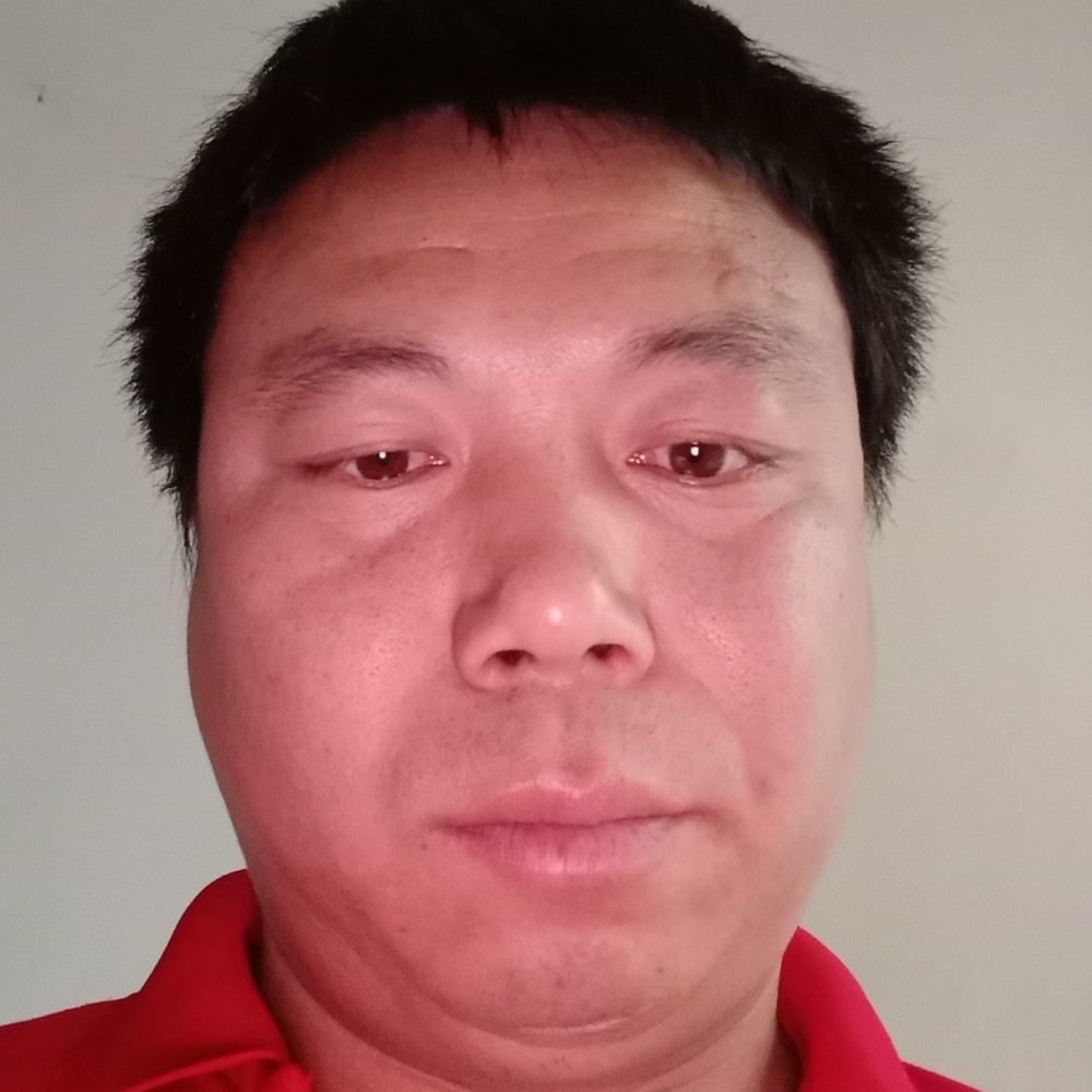 洋葱方苗条的照片