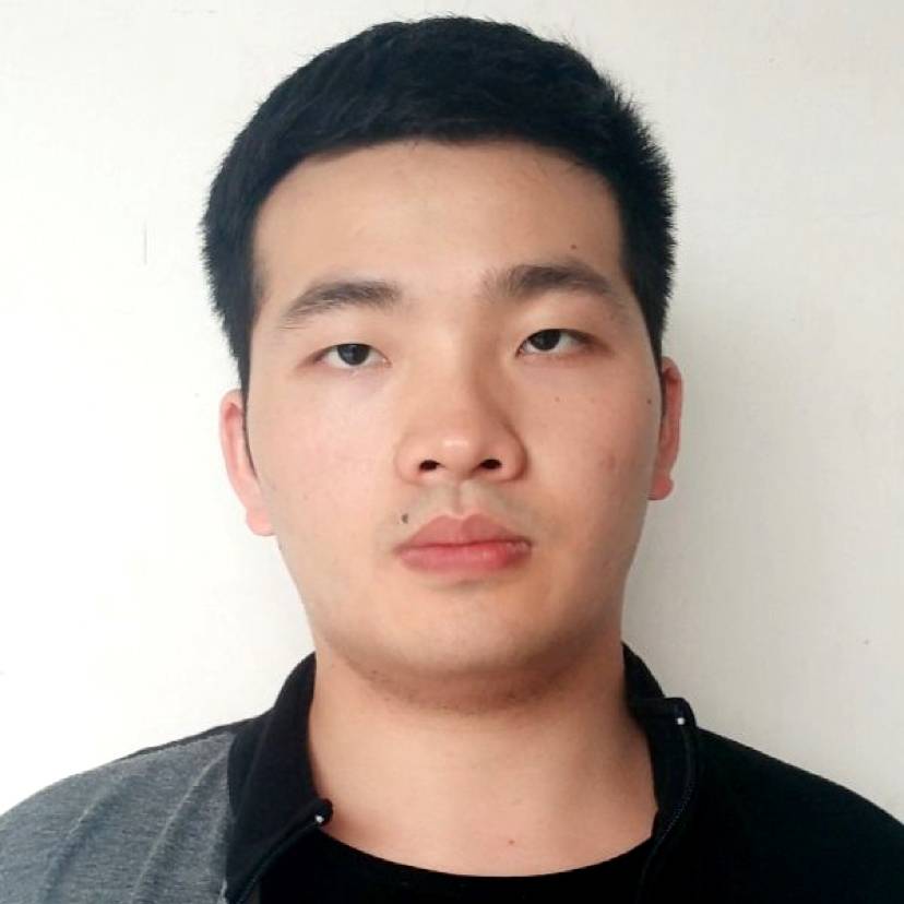 沉默的鱼的照片