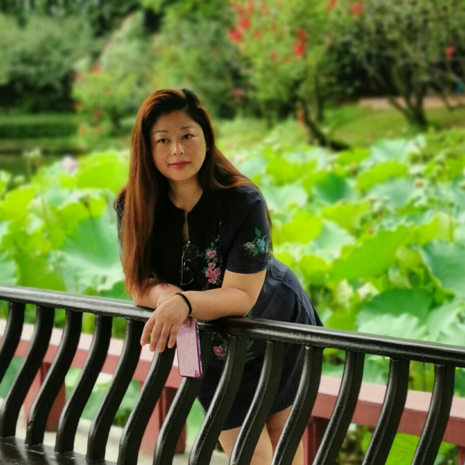 离歌给仁爱的照片