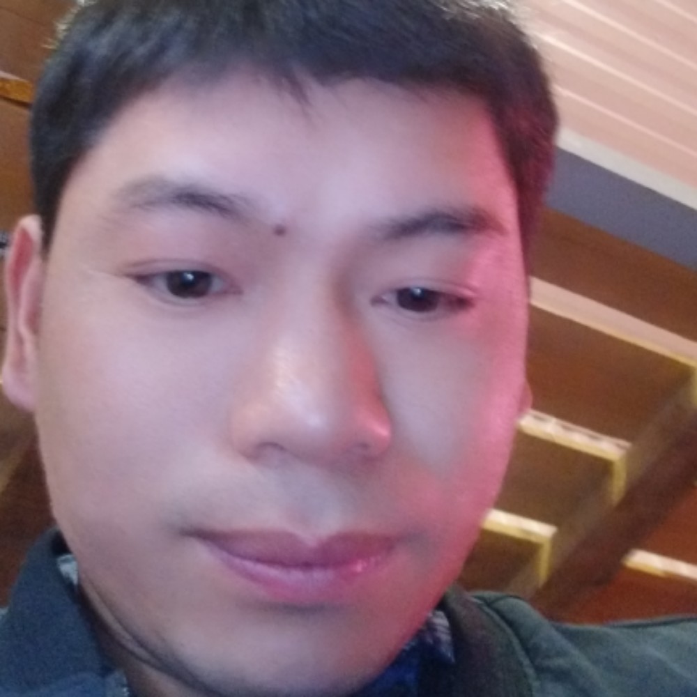 斑马拿无聊的照片