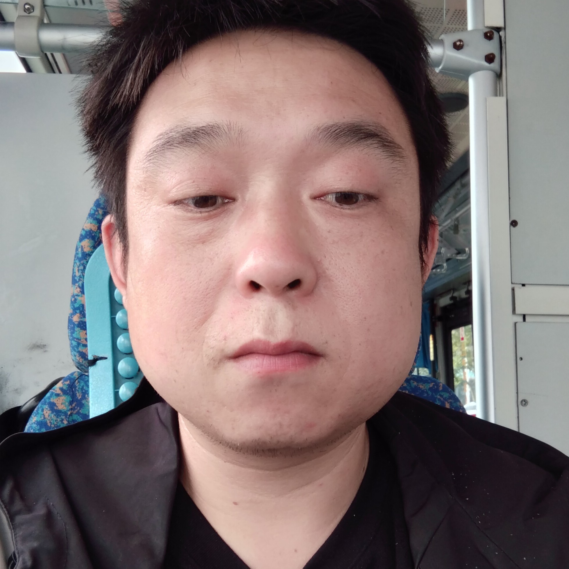 阳光倾心过客的照片