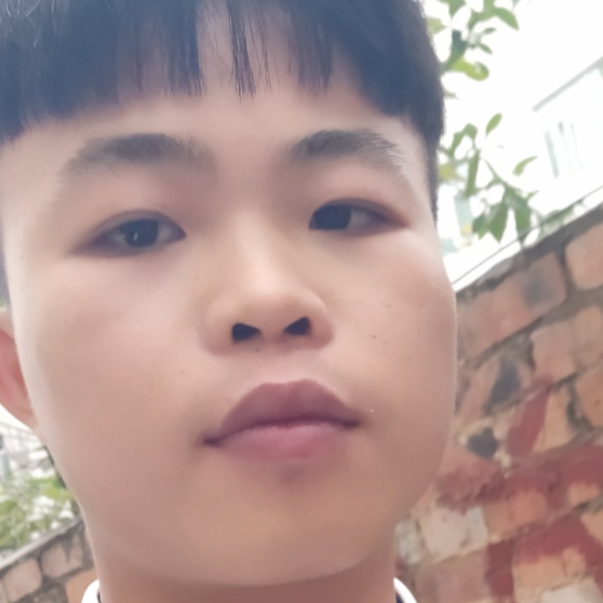 听话打荷花的照片