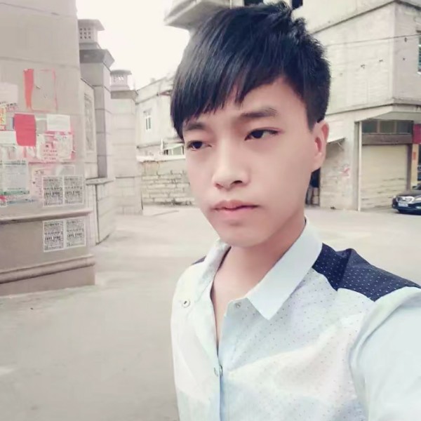 o仙人掌o的照片
