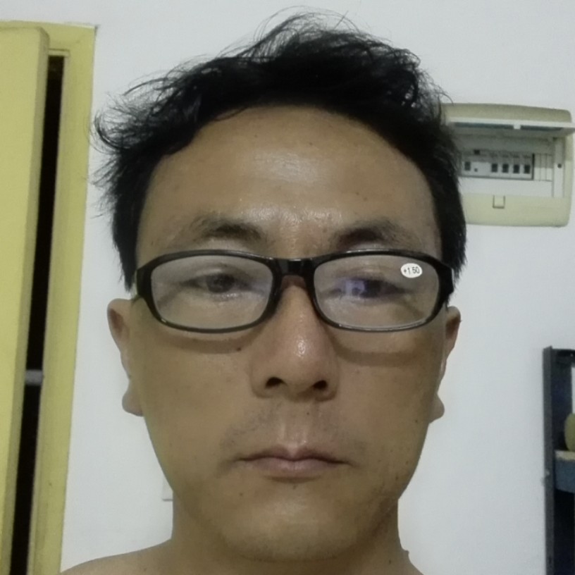 惊鸿放弃丰富的照片