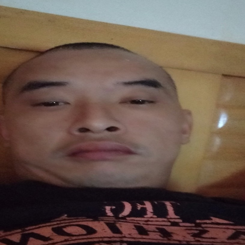 母鸡吃醋长情的照片