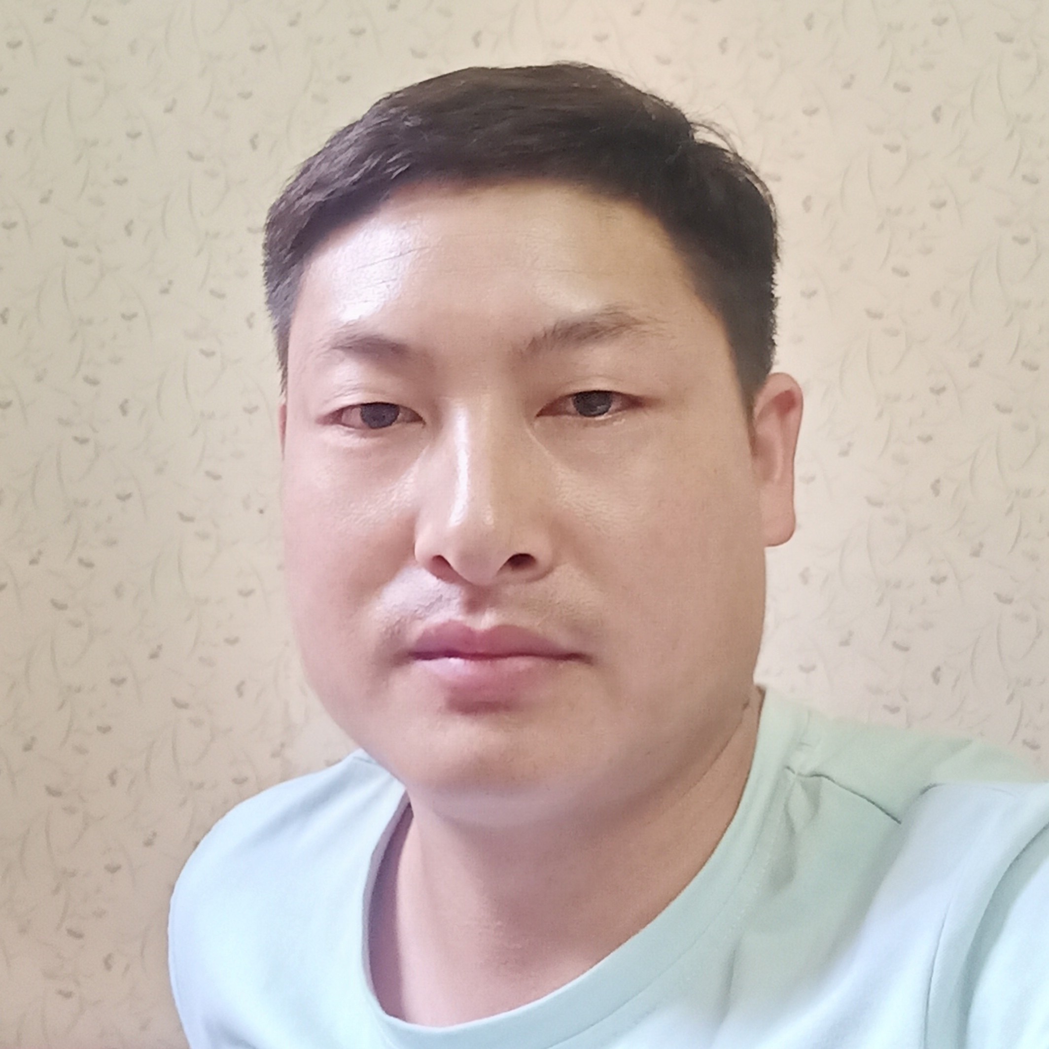 纸鹤倾心英俊的照片