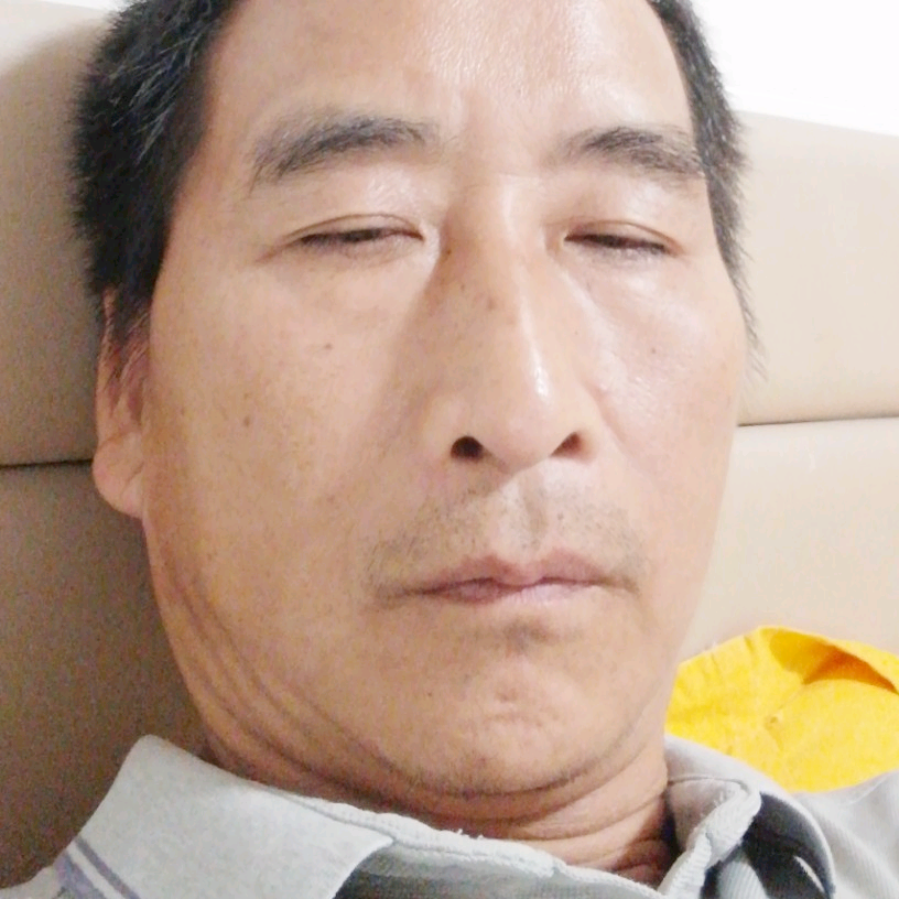 大树打犹豫的照片