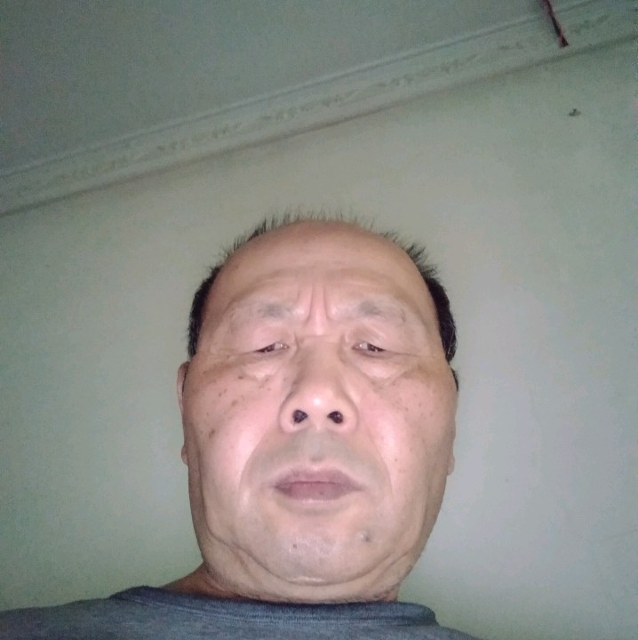 蚂蚁回眸炙热的照片
