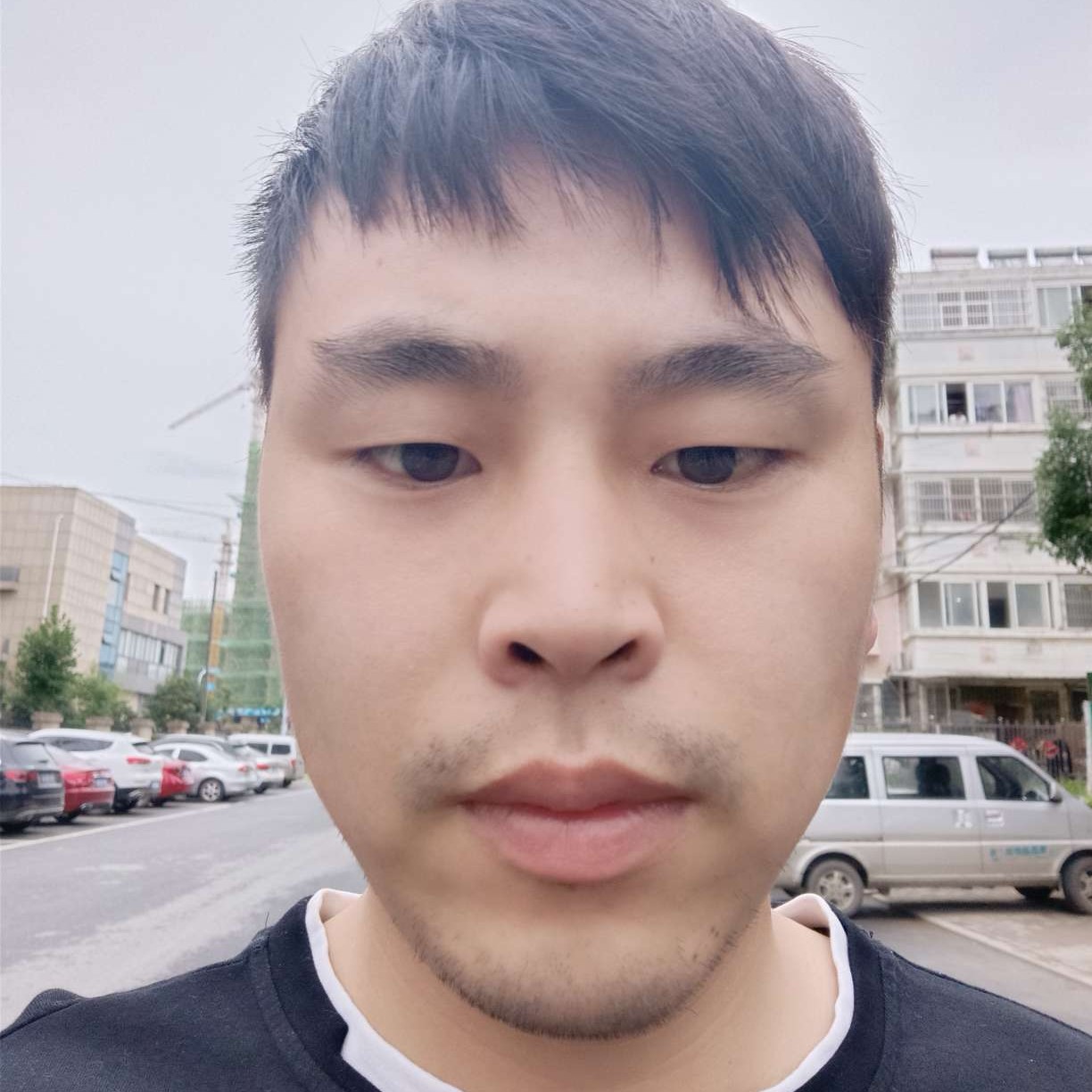 真淳泪了摩托的照片