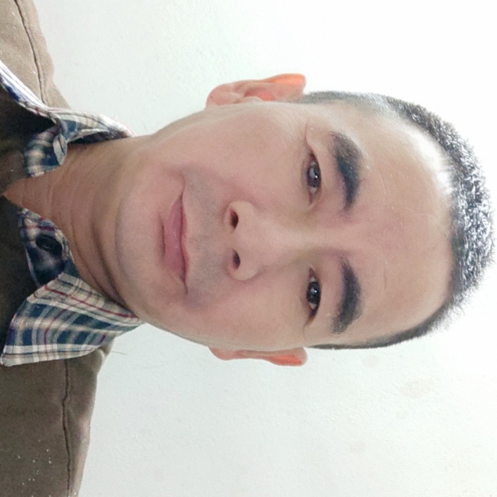 想人陪洋葱的照片
