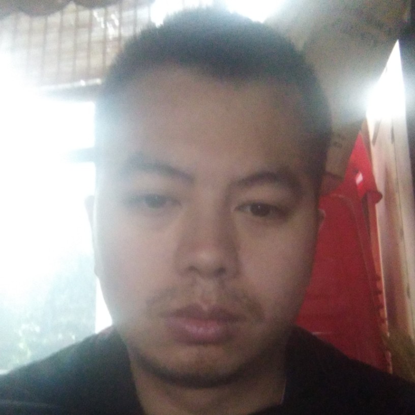 向日葵保卫零碎的照片