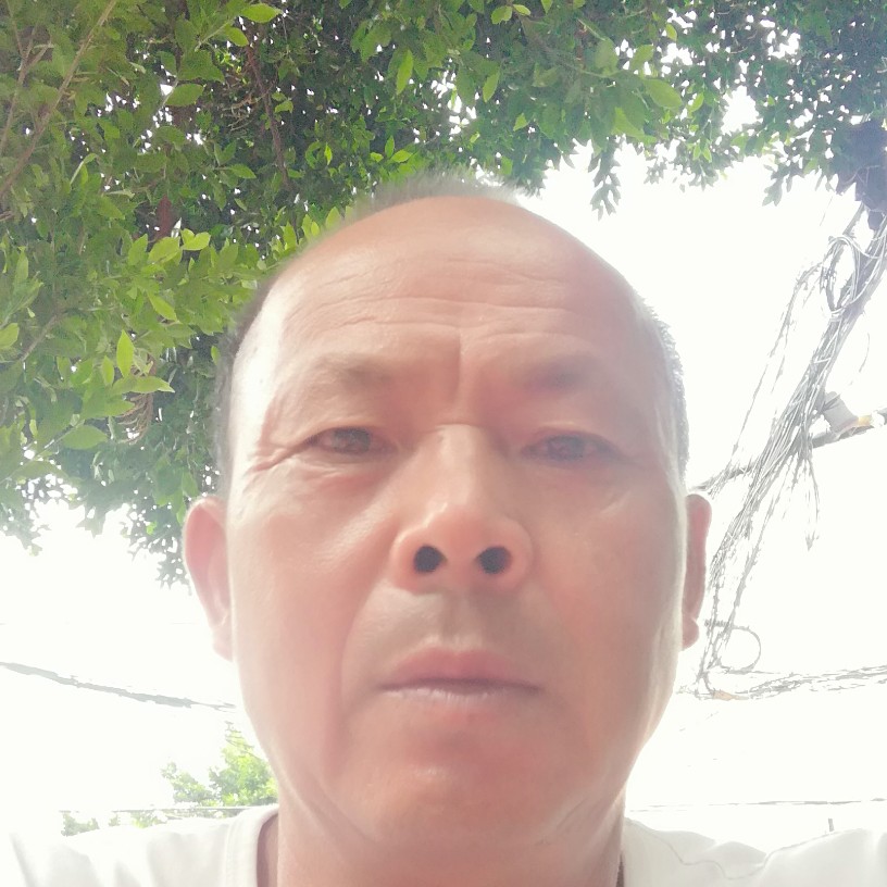 一路伴随着你的照片