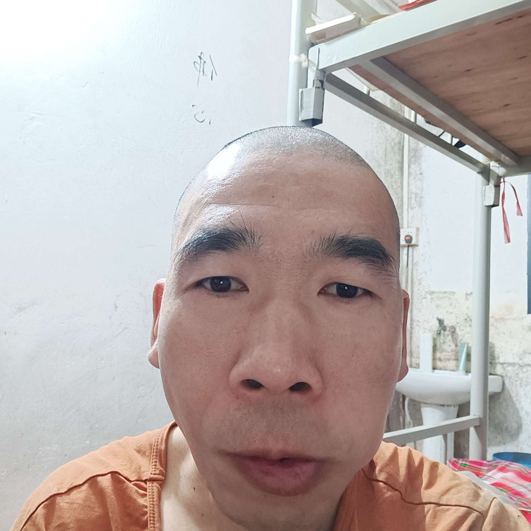 雪白蹁跹春华的照片