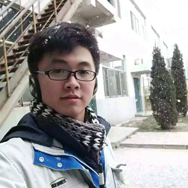 小海豚的朴素的照片