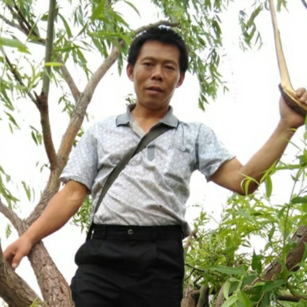 心……以碎的照片