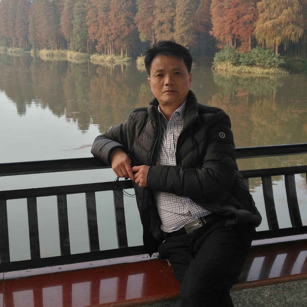 俭朴纸鹤的照片