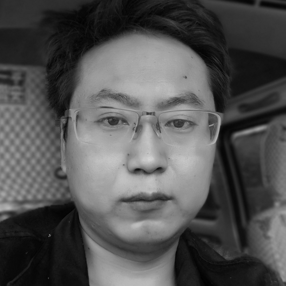 沉默放弃战斗机的照片