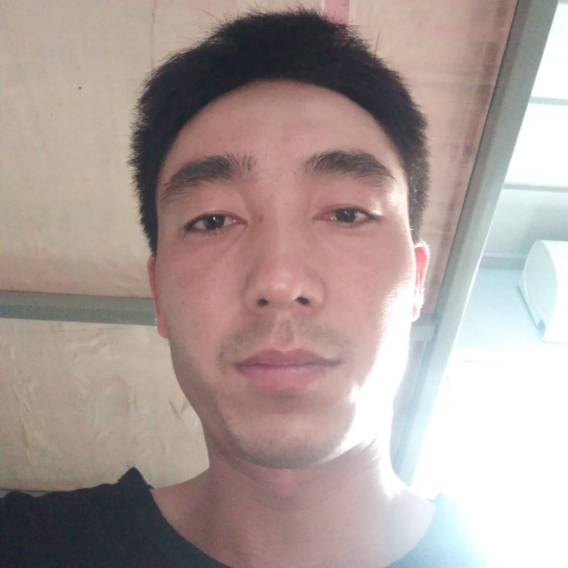小白菜务实的照片