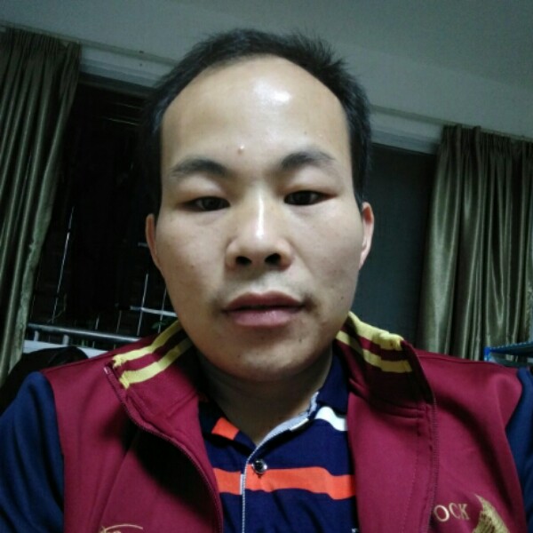 刻苦绿茶的照片