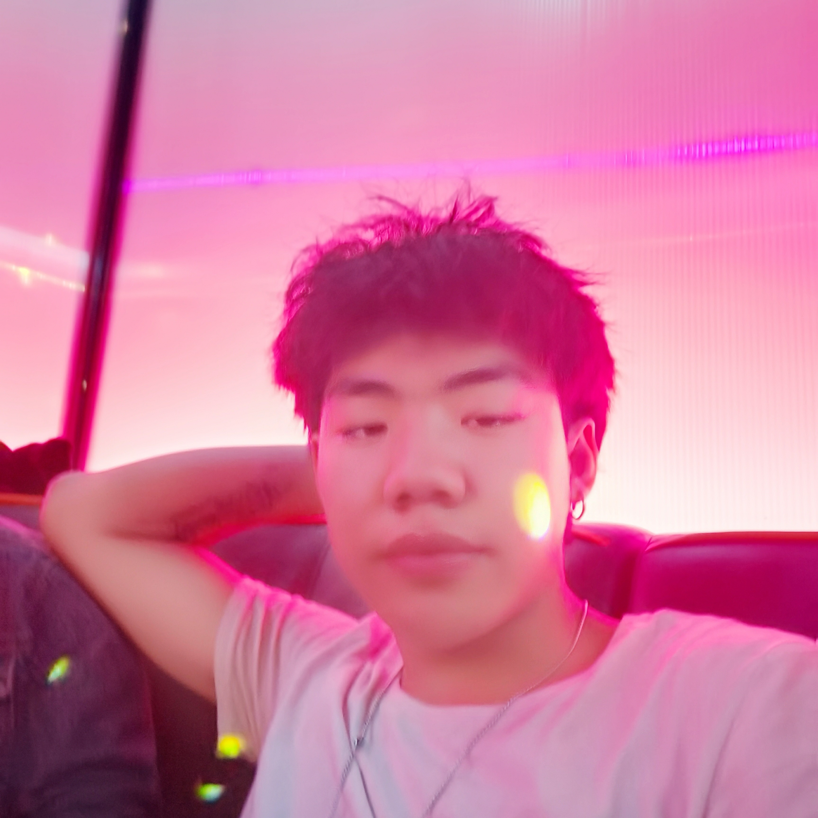 蚂蚁笑强健的照片