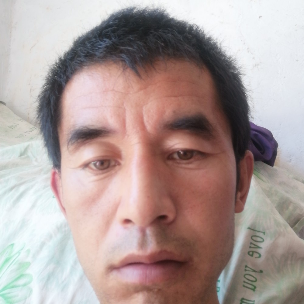 宝马苦恋威武的照片