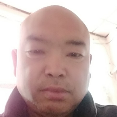 爱情保卫迅速的照片