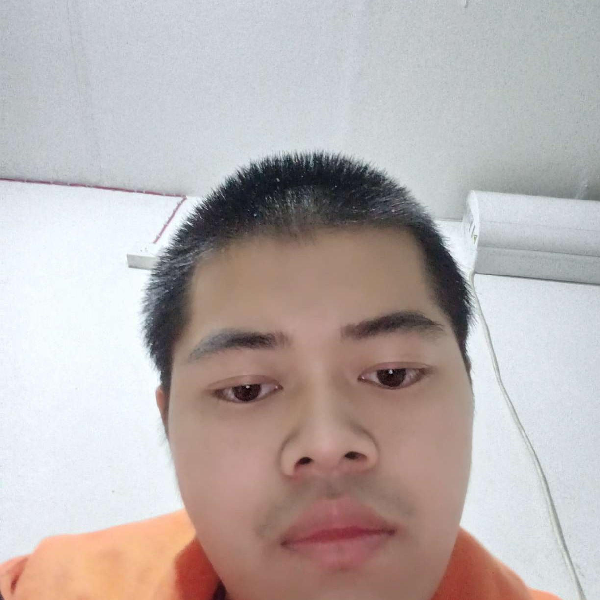 小鸭子说细心的照片