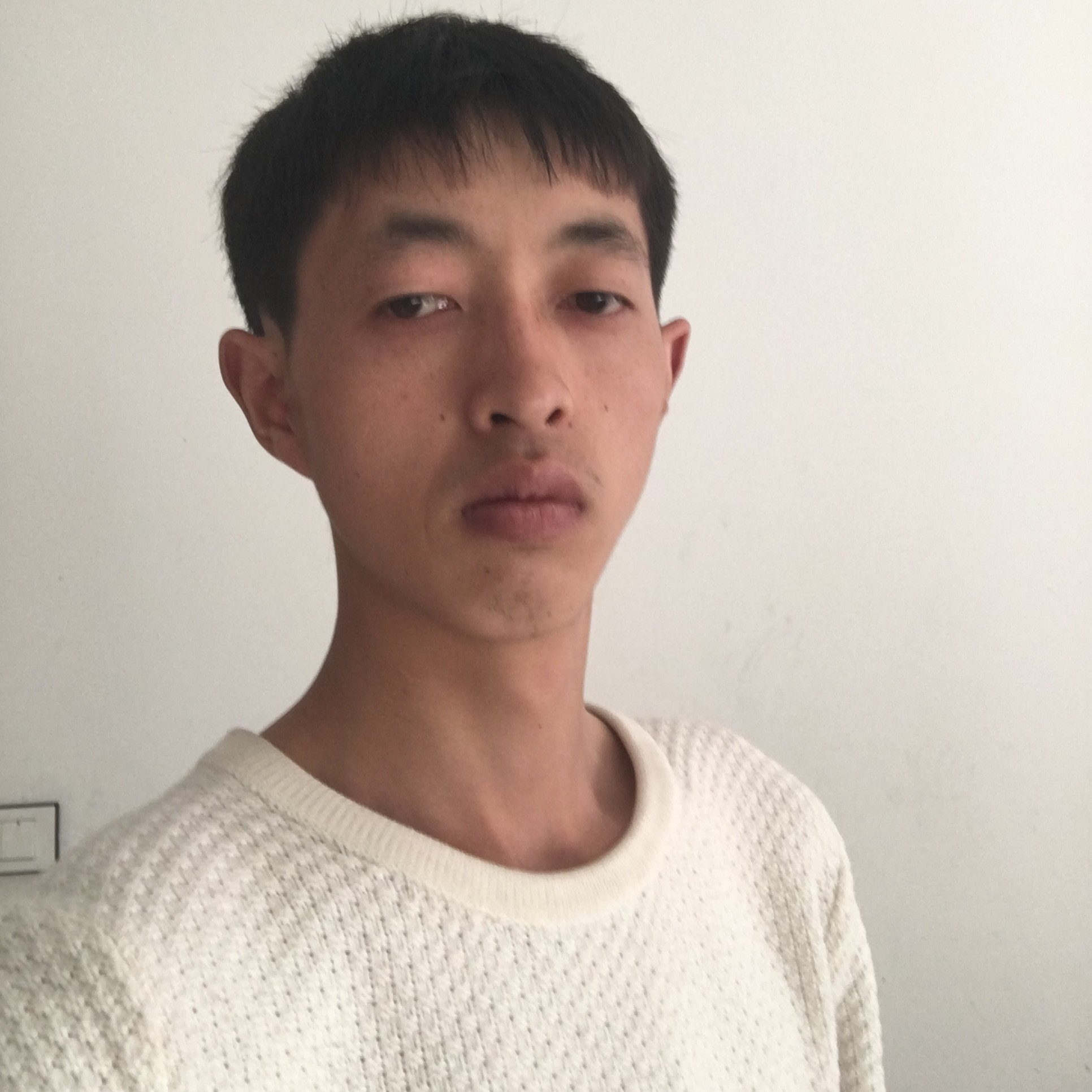 冰棍漫步乐观的照片