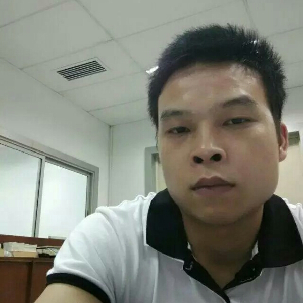 红玫瑰落拓的照片