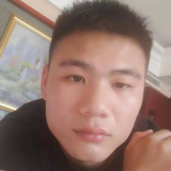 独寂蜗牛的照片