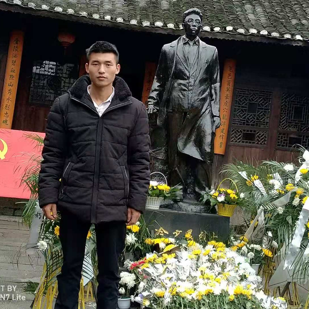单念一支玫的照片