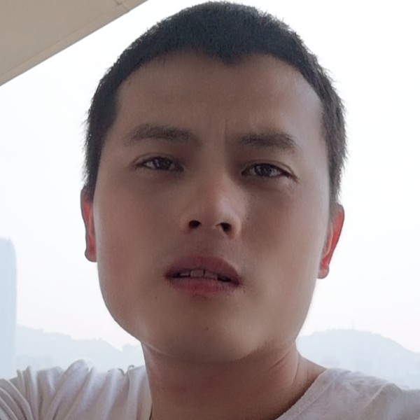 星雨向如意的照片