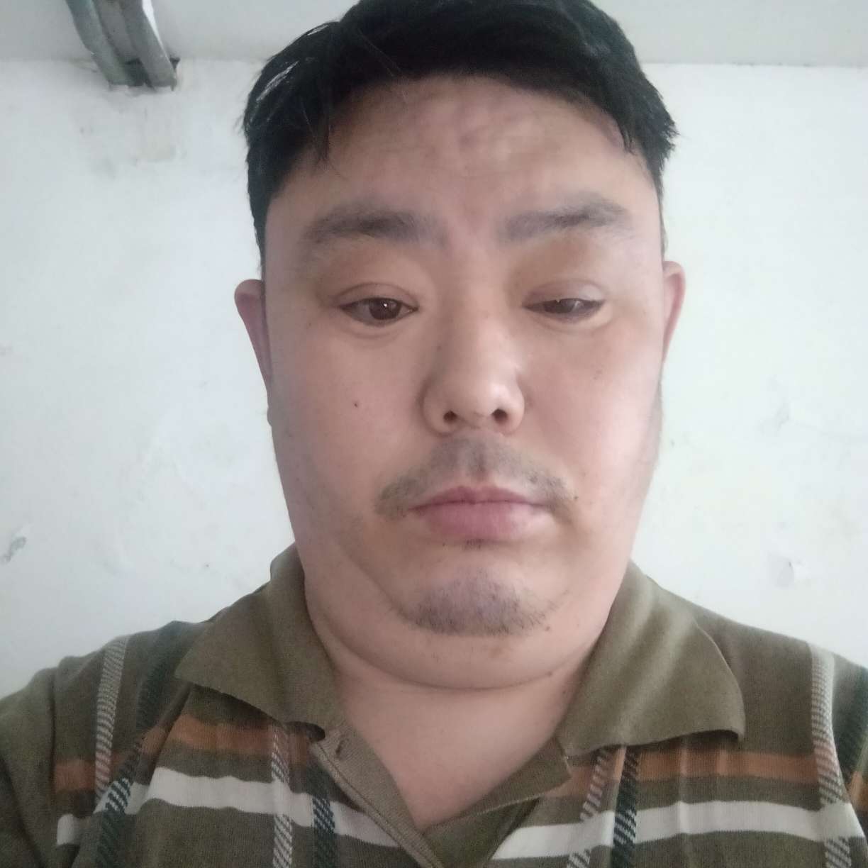 无奈有大碗的照片