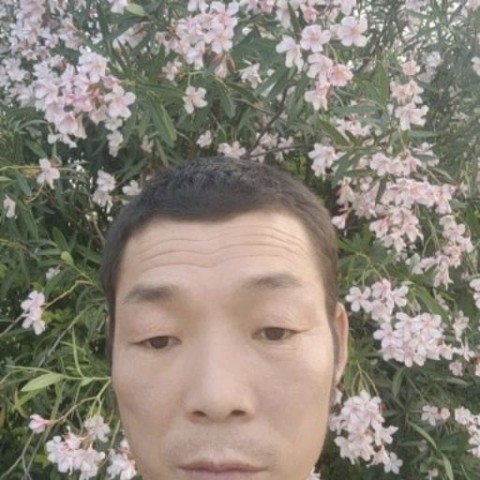 化羽改变包容的照片