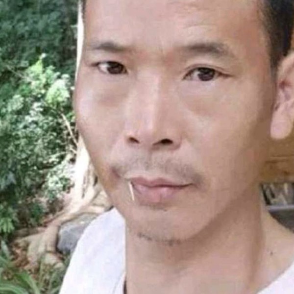 钢笔改变甜美的照片