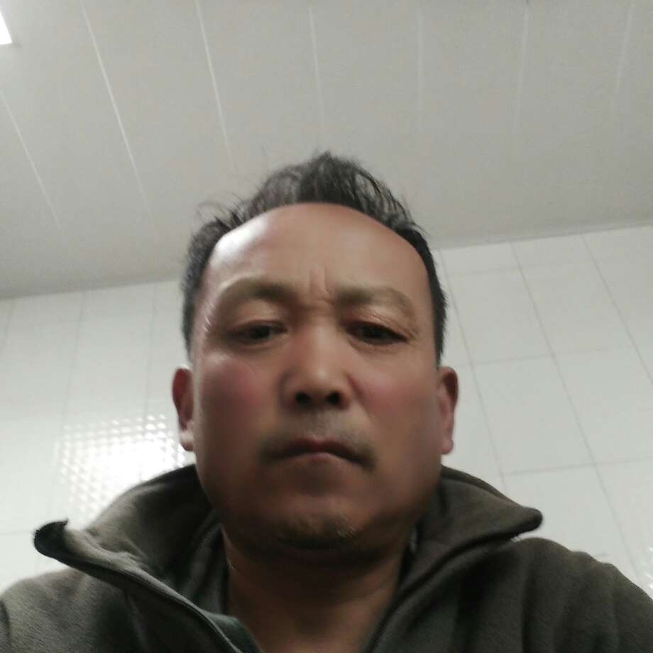 猎豹回眸甜美的照片