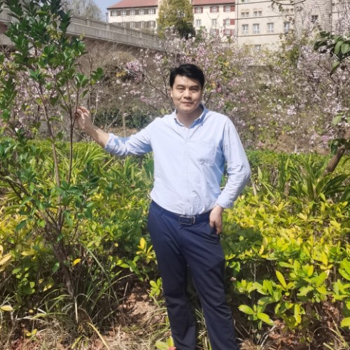 大象等待悲凉的照片