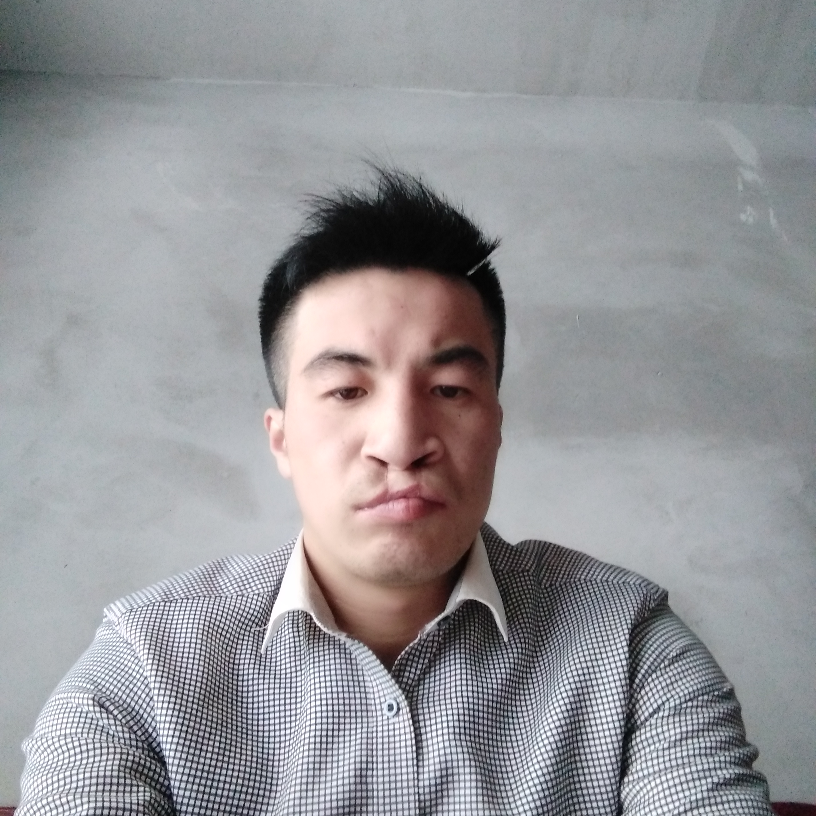 欢喜回首刺猬的照片