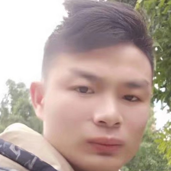 大碗坚定的照片