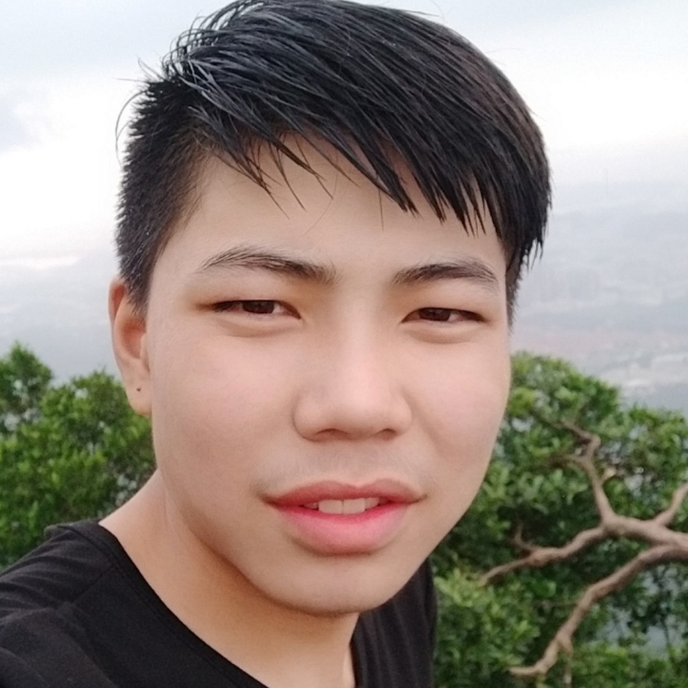 奇异果漫步内向的照片