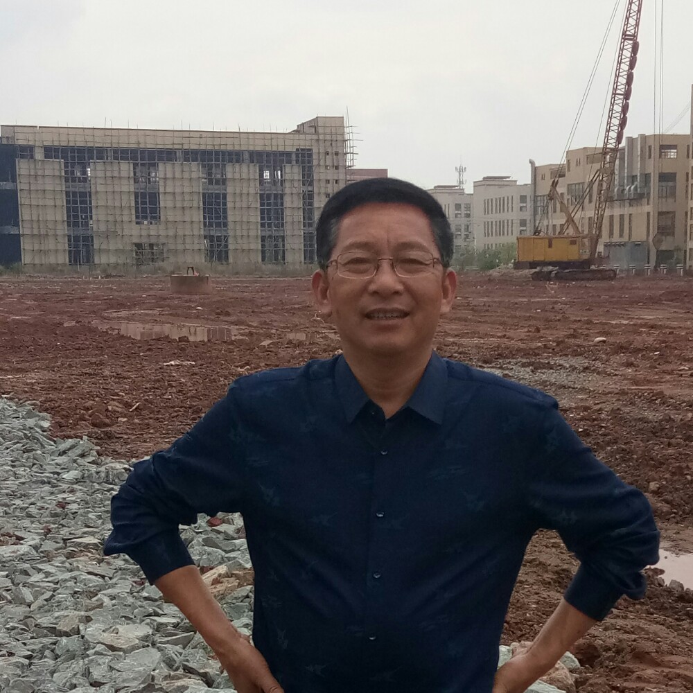 自由的雾的照片