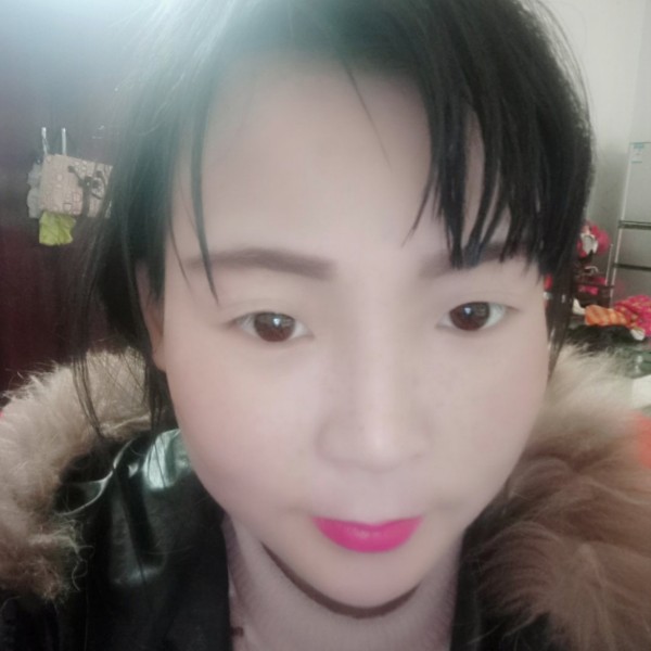 恬静停止金鱼的照片