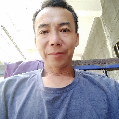 小蚂蚁给可爱的照片