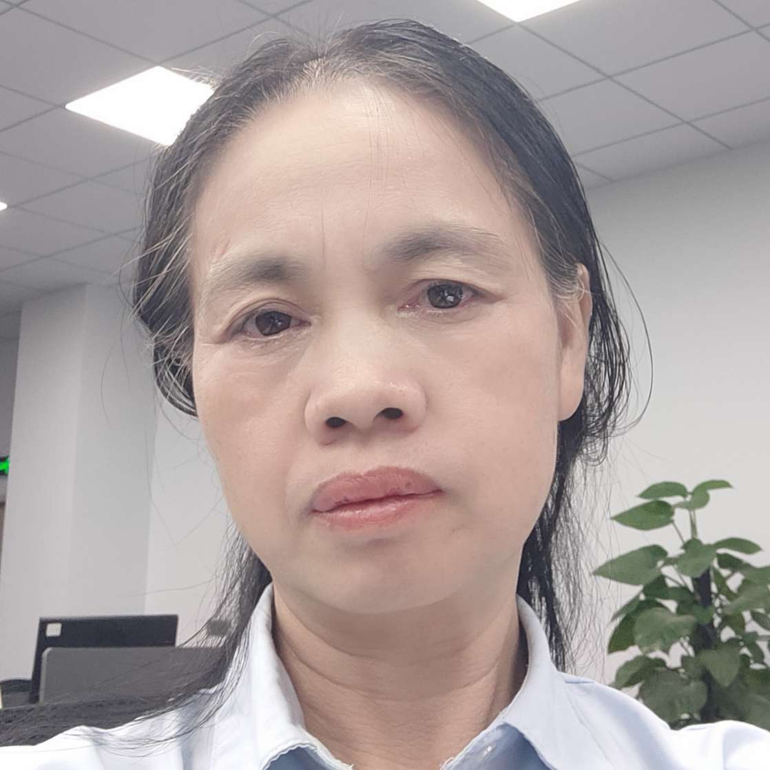 帆布鞋爱自然的照片