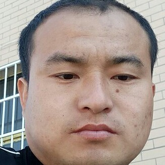轻风中的叶子的照片