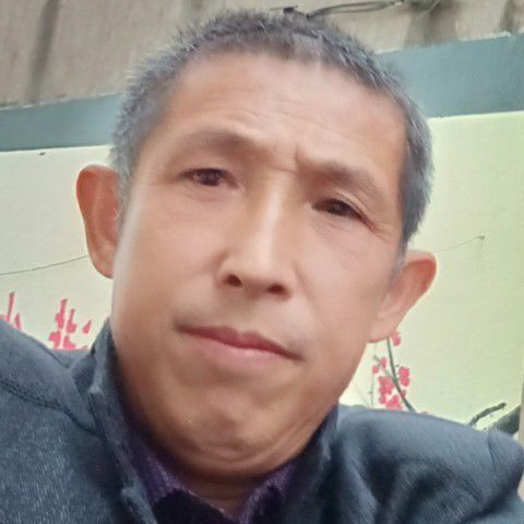 闪闪倾心玉米的照片